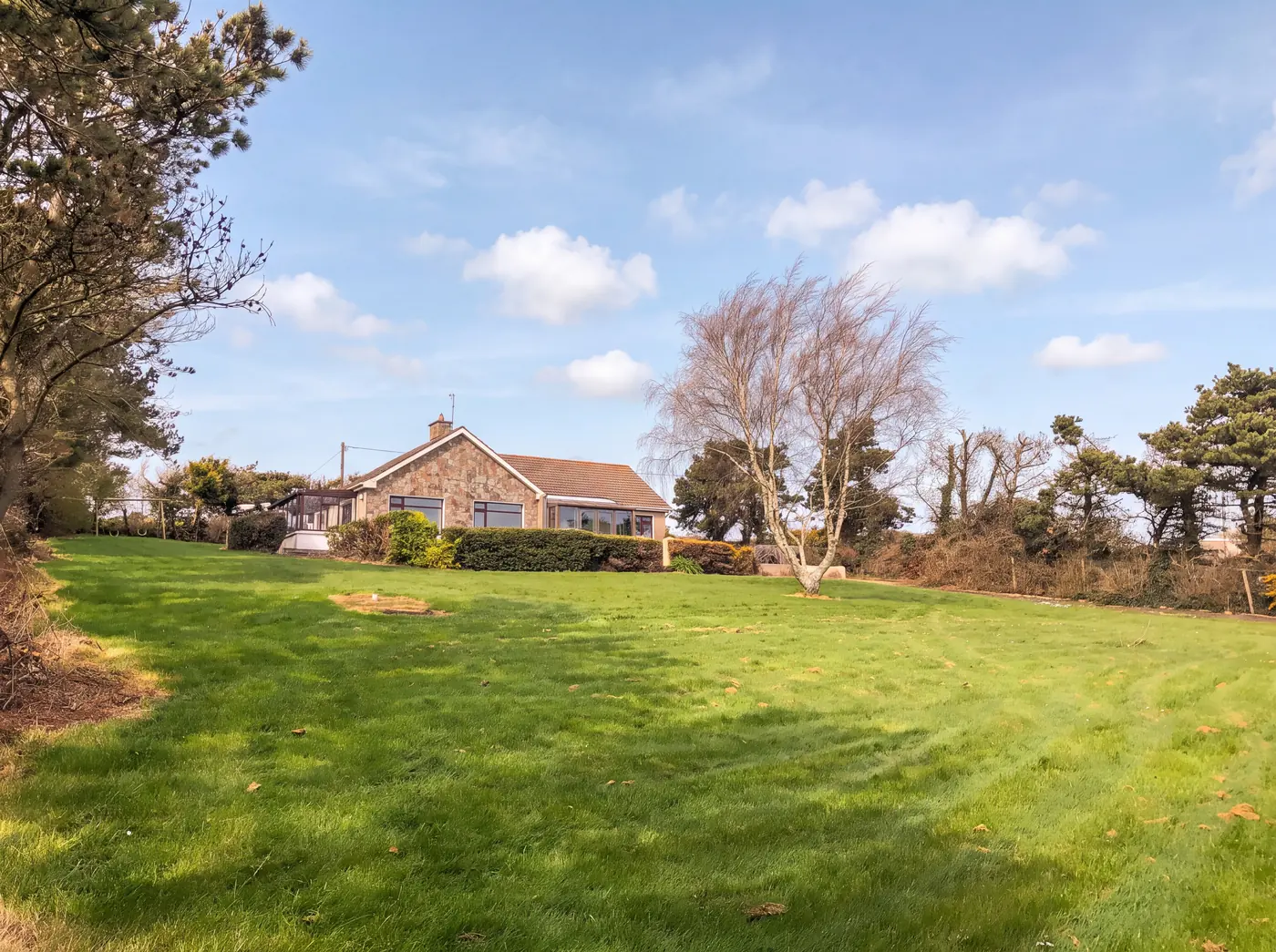The front lawn and birch tree at Tuskar View